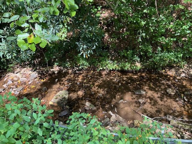 184/196 Bear Bend, Blairsville GA 30512 - Photo