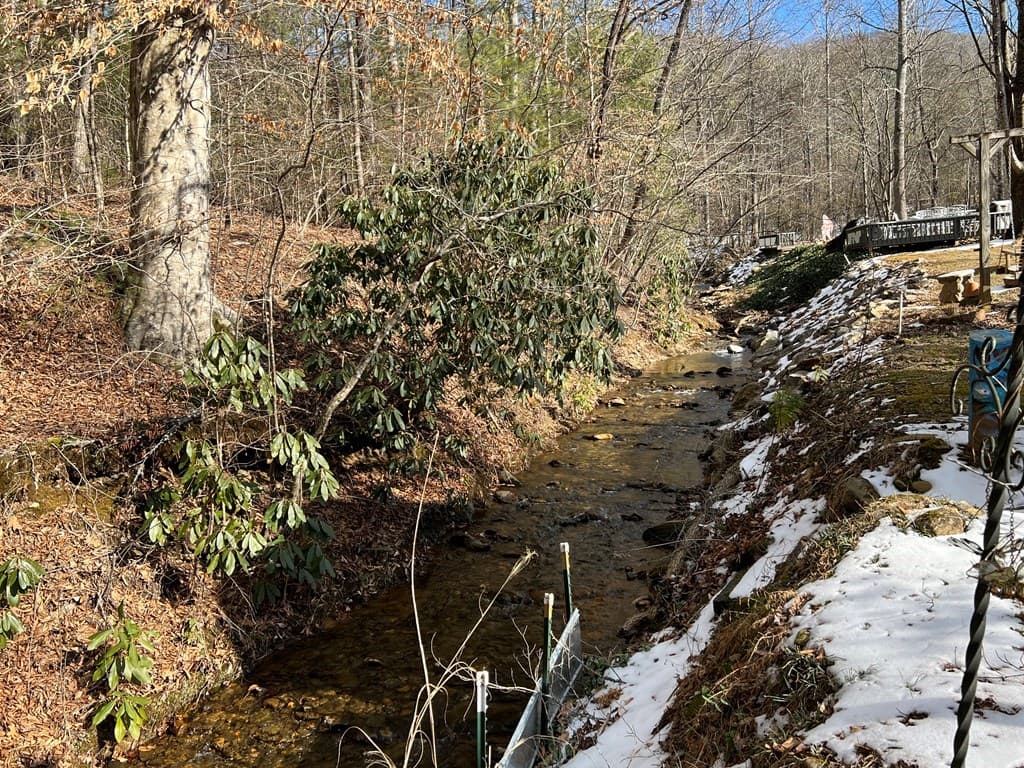 184/196 Bear Bend, Blairsville GA 30512 - Photo