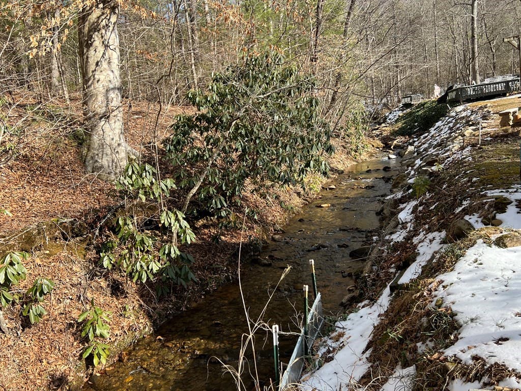 184/196 Bear Bend, Blairsville GA 30512 - Photo
