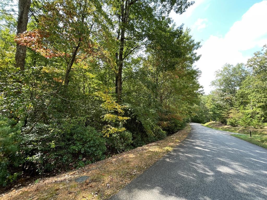 #103 Heritage Trail, Brasstown NC 28902 - Photo