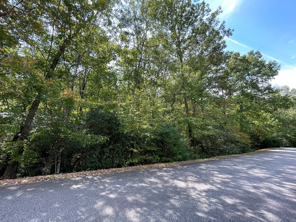 #103 Heritage Trail, Brasstown NC 28902 - Photo