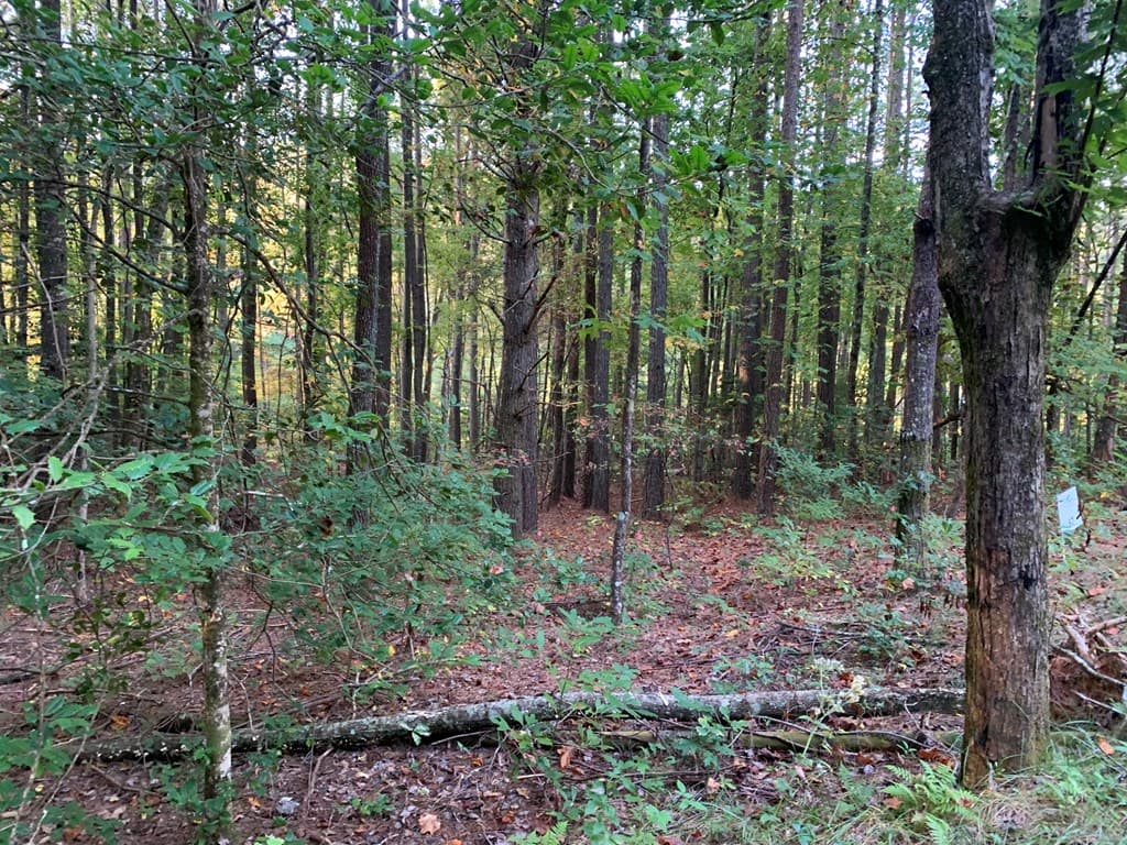 67 Sol Lane, Murphy NC 28906 - Photo