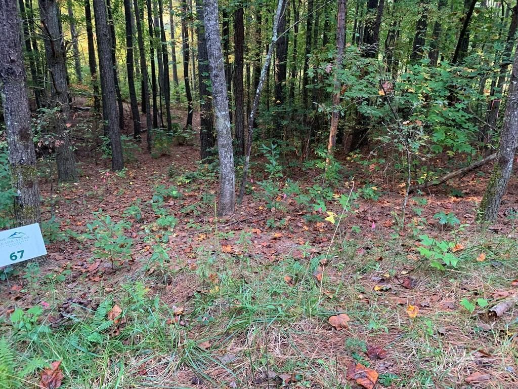 67 Sol Lane, Murphy NC 28906 - Primary photo