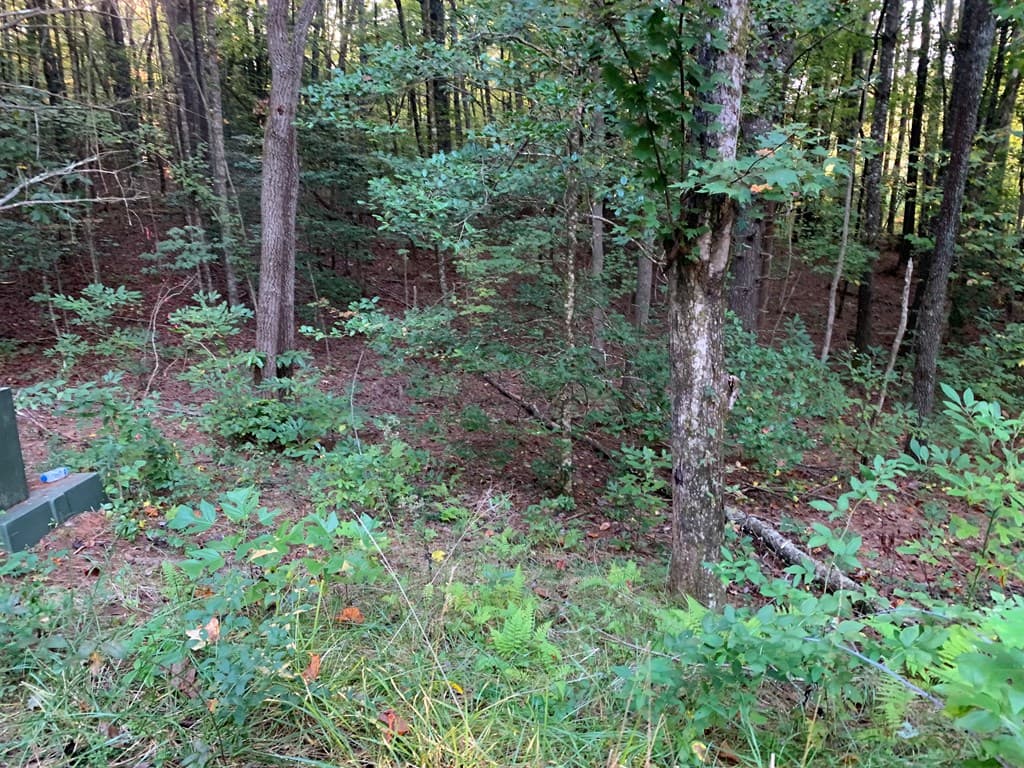 67 Sol Lane, Murphy NC 28906 - Photo