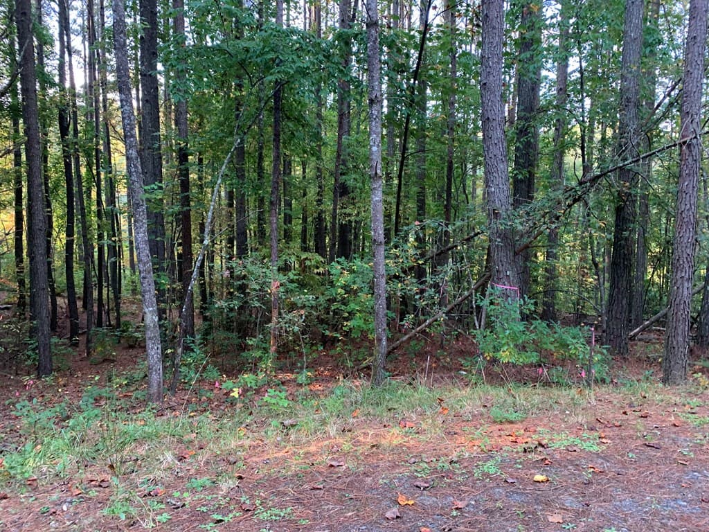 67 Sol Lane, Murphy NC 28906 - Photo