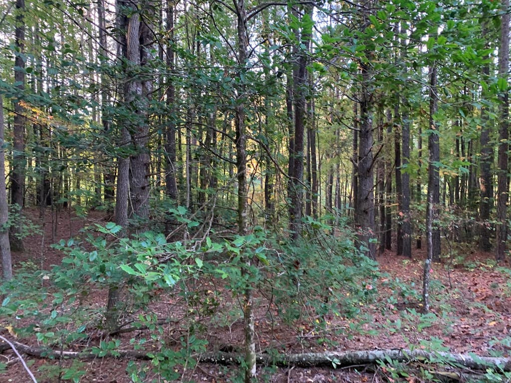 67 Sol Lane, Murphy NC 28906 - Photo
