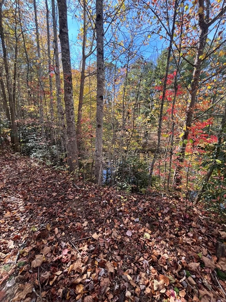 68 Nelson Road, Hiawassee GA 30546 - Photo