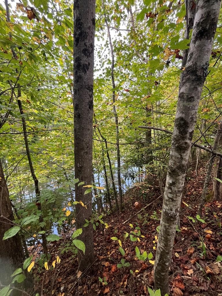 68 Nelson Road, Hiawassee GA 30546 - Photo
