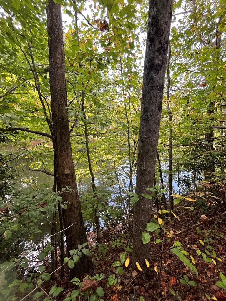 68 Nelson Road, Hiawassee GA 30546 - Photo