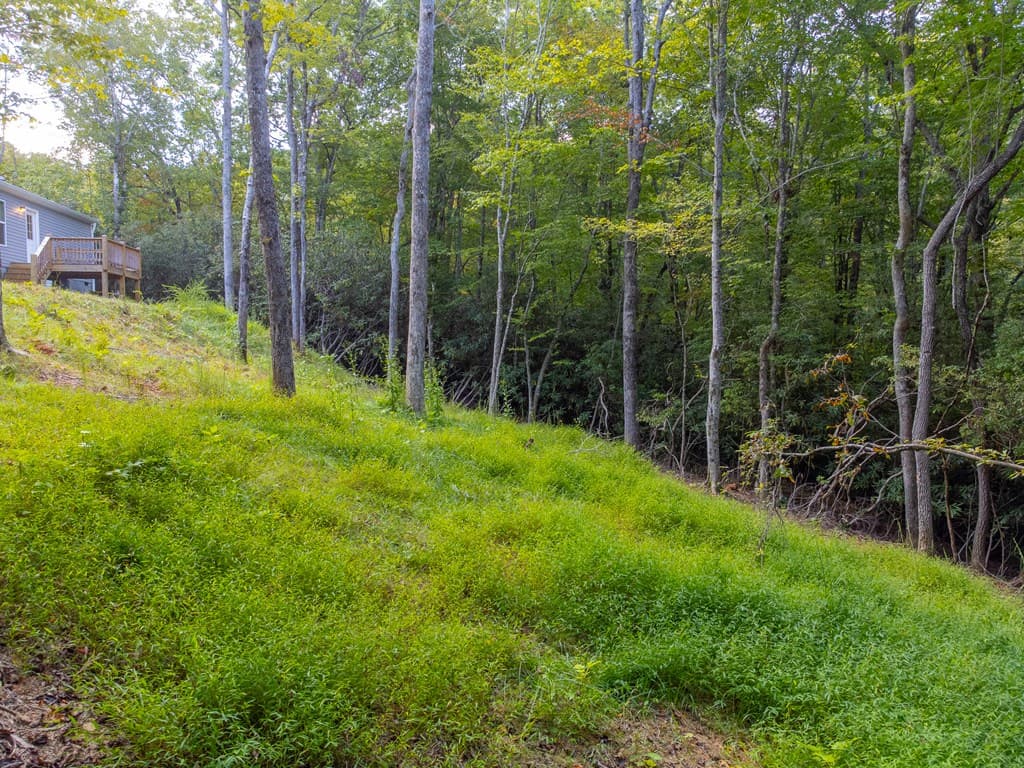 75 Windswept Lane, Hayesville NC 28904 - Photo