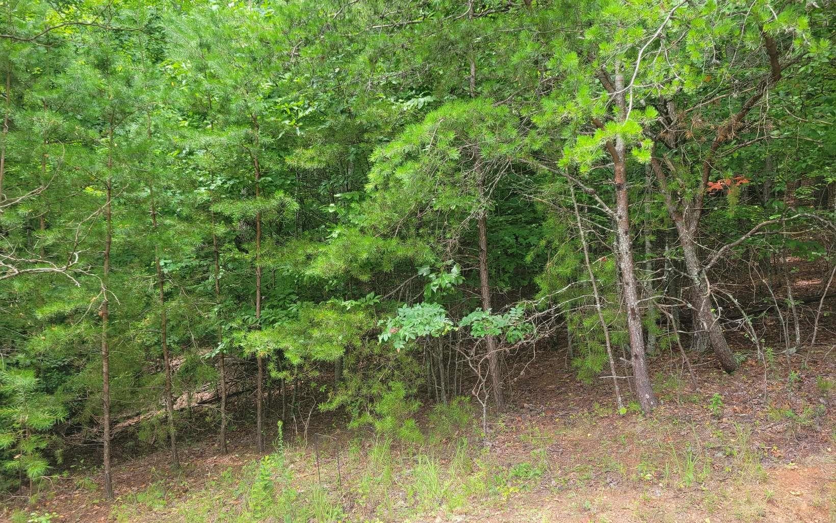 Lot 22B Longview Drive, Hayesville NC 28904 - Photo
