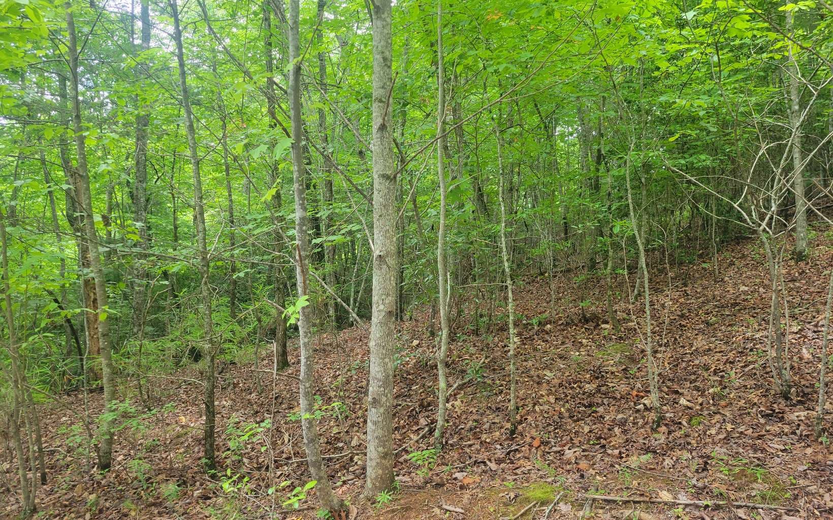 Lot 22B Longview Drive, Hayesville NC 28904 - Photo