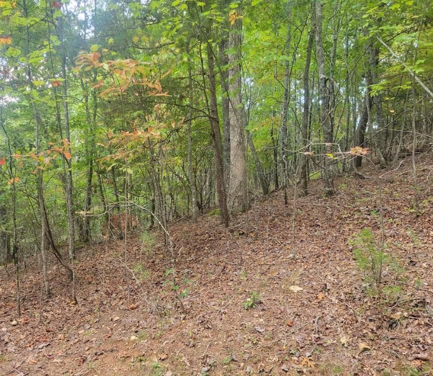 Lot 22B Longview Drive, Hayesville NC 28904 - Photo