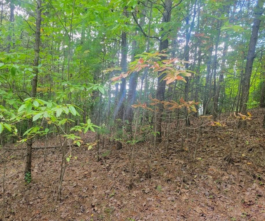 Lot 22B Longview Drive, Hayesville NC 28904 - Photo