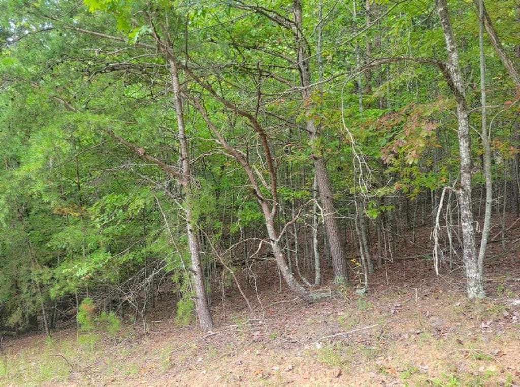 Lot 22B Longview Drive, Hayesville NC 28904 - Photo