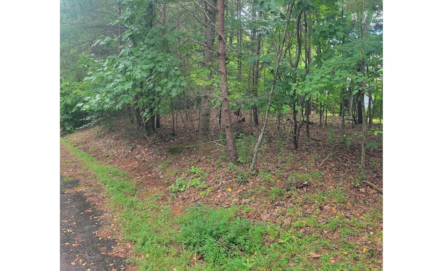 Lot 22B Longview Drive, Hayesville NC 28904 - Photo