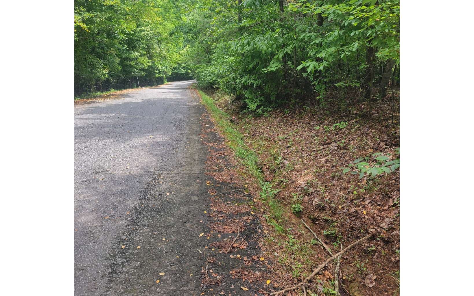 Lot 22B Longview Drive, Hayesville NC 28904 - Photo