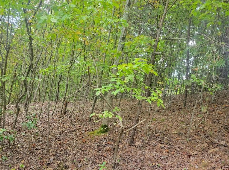 Lot 22B Longview Drive, Hayesville NC 28904 - Photo