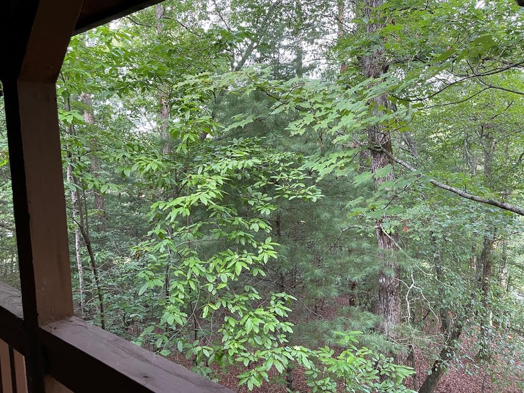 823 Crisp Road, Murphy NC 28906 - Photo