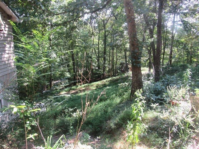 88 Bruce Wike Lane, Brasstown NC 28902 - Photo