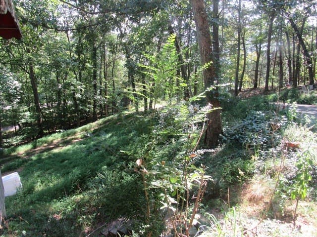 88 Bruce Wike Lane, Brasstown NC 28902 - Photo