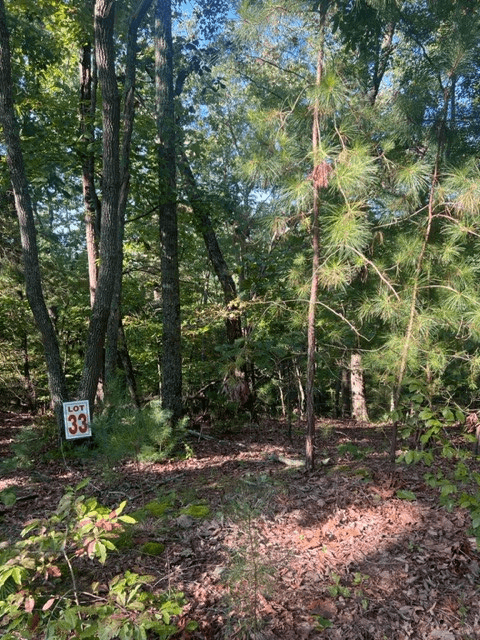 LT 33 Buck Creek Road, Ellijay GA 30540 - Photo