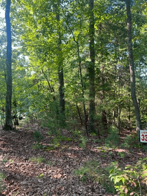 LT 33 Buck Creek Road, Ellijay GA 30540 - Photo