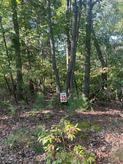LT 33 Buck Creek Road, Ellijay GA 30540 - Photo