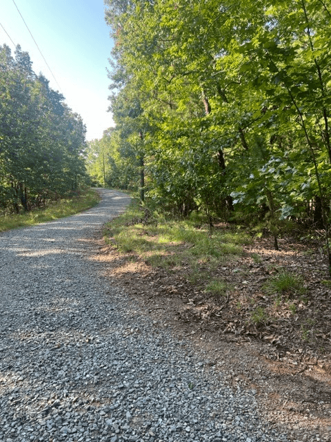 LT 33 Buck Creek Road, Ellijay GA 30540 - Photo