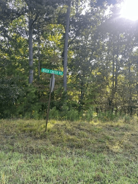 LT 33 Buck Creek Road, Ellijay GA 30540 - Photo