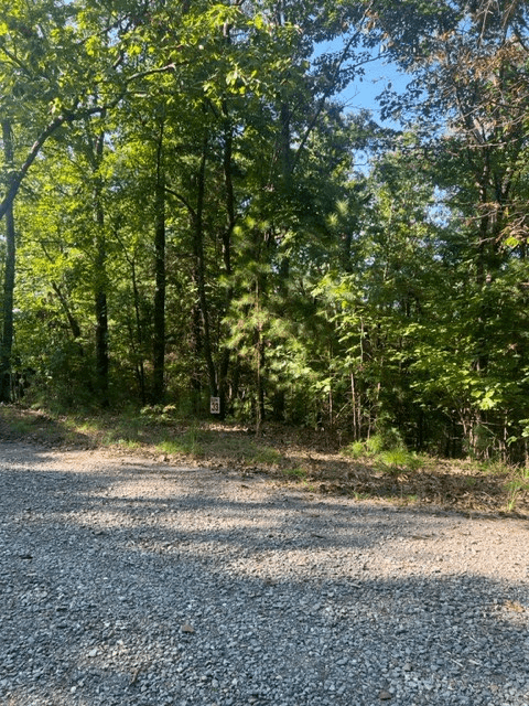 LT 33 Buck Creek Road, Ellijay GA 30540 - Photo