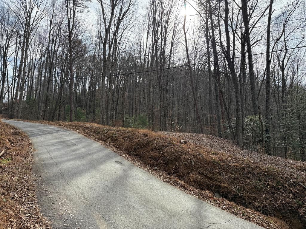 Lot 12 Rainbow Ridge, Hiawassee GA 30546 - Photo