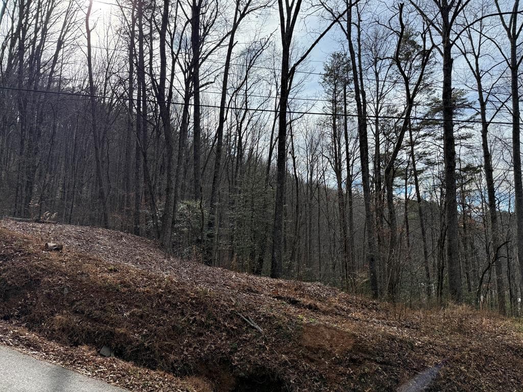 Lot 12 Rainbow Ridge, Hiawassee GA 30546 - Photo