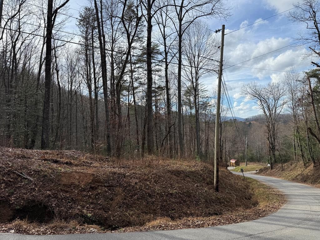 Lot 12 Rainbow Ridge, Hiawassee GA 30546 - Photo