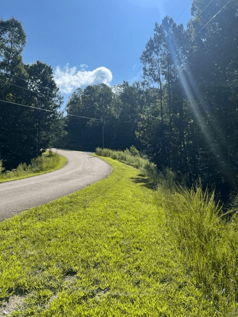 LT 54 Honeysuckle Way, Ellijay GA 30540 - Photo