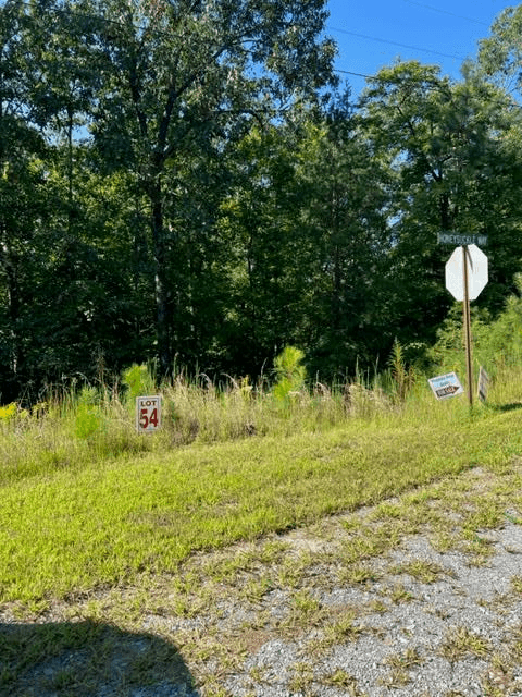 LT 54 Honeysuckle Way, Ellijay GA 30540 - Primary photo