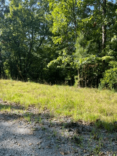 LT 57 Honeysuckle Way, Ellijay GA 30540 - Photo