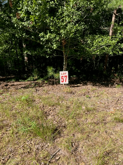LT 57 Honeysuckle Way, Ellijay GA 30540 - Photo