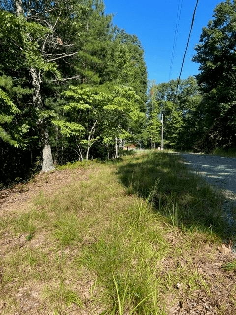 LT 57 Honeysuckle Way, Ellijay GA 30540 - Photo