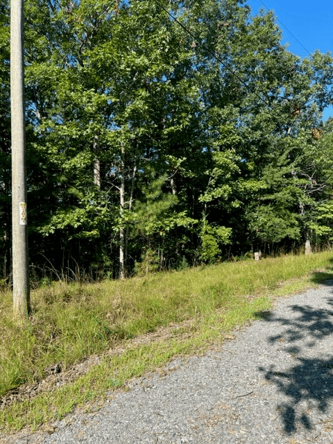 LT 57 Honeysuckle Way, Ellijay GA 30540 - Photo