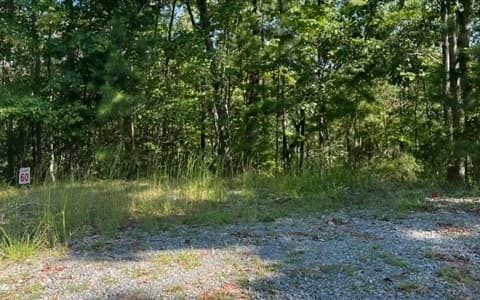 LT 60 Honeysuckle Way, Ellijay GA 30540 - Photo