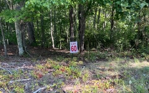 LT 60 Honeysuckle Way, Ellijay GA 30540 - Primary photo