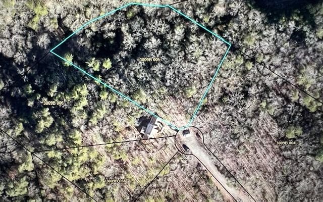 LT 60 Honeysuckle Way, Ellijay GA 30540 - Photo