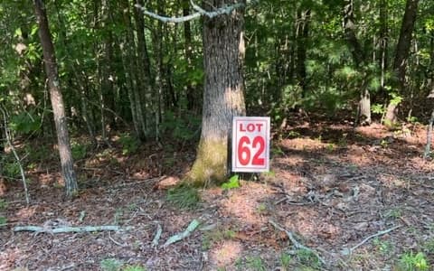 LT61&62 Honeysuckle Way, Ellijay GA 30540 - Photo