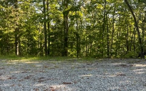 LT61&62 Honeysuckle Way, Ellijay GA 30540 - Photo