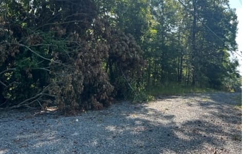 LT61&62 Honeysuckle Way, Ellijay GA 30540 - Photo