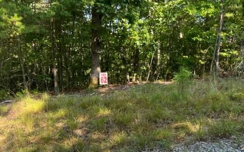 LT61&62 Honeysuckle Way, Ellijay GA 30540 - Photo