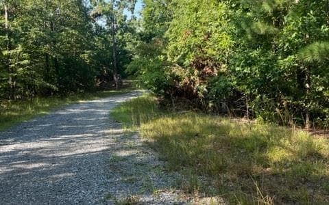 LT61&62 Honeysuckle Way, Ellijay GA 30540 - Primary photo