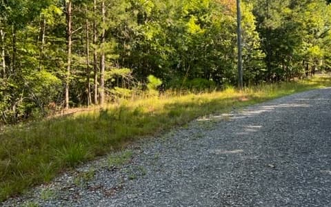 LT61&62 Honeysuckle Way, Ellijay GA 30540 - Photo