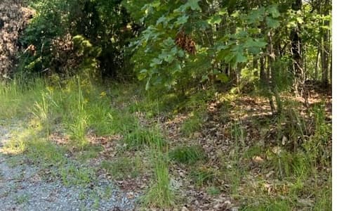 LT61&62 Honeysuckle Way, Ellijay GA 30540 - Photo